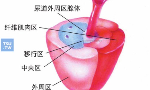 散痛舒胶囊多少钱一盒-散痛散痛舒胶囊说明书网-分享散痛舒胶囊，散痛舒胶囊的用法用量知识库